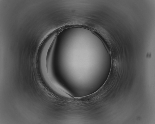 X0000090900676200708270944