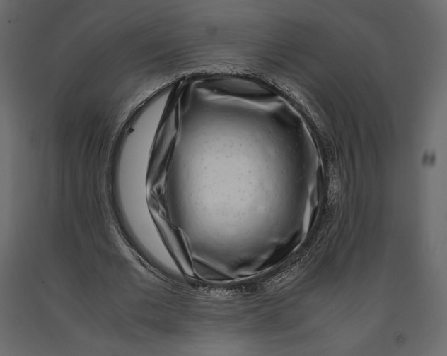 X0000090900677200708270944