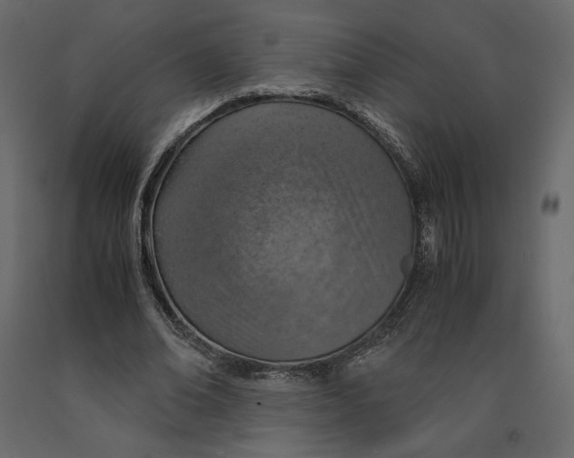 X0000090900678200708270944