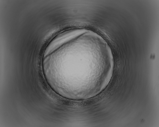 X0000090900679200708270944