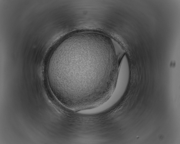 X0000090900680200708270944