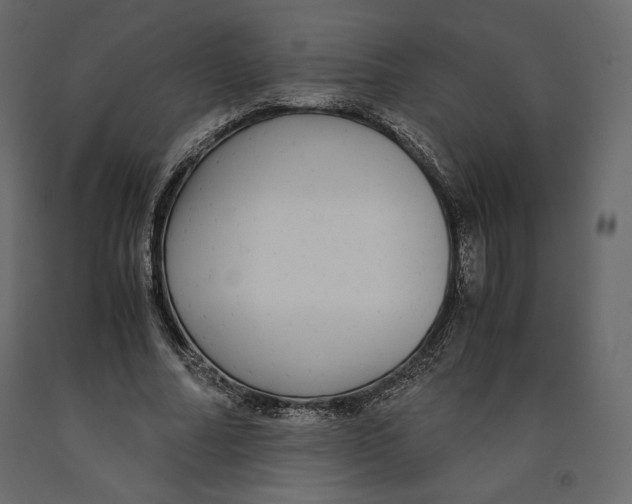 X0000090900682200708270944