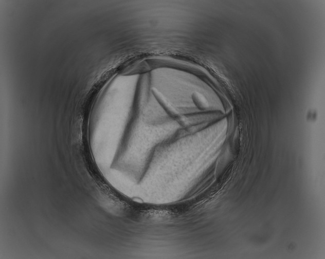 X0000090900685200708270944