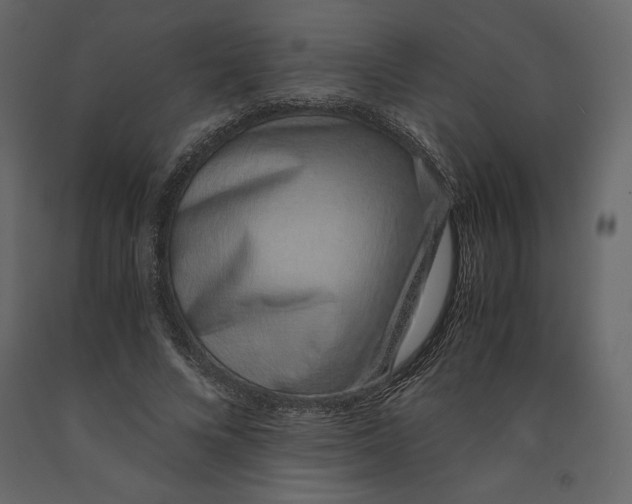 X0000090900688200708270944