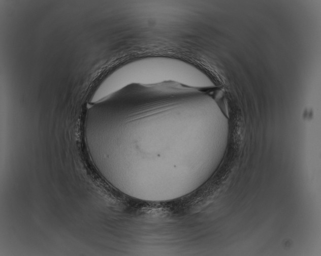 X0000090900689200708270944