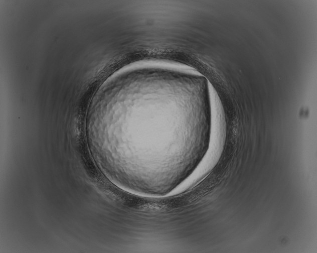 X0000090900691200708270944