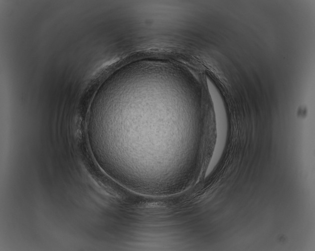 X0000090900692200708270944