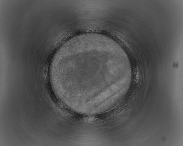 X0000090900695200708270944