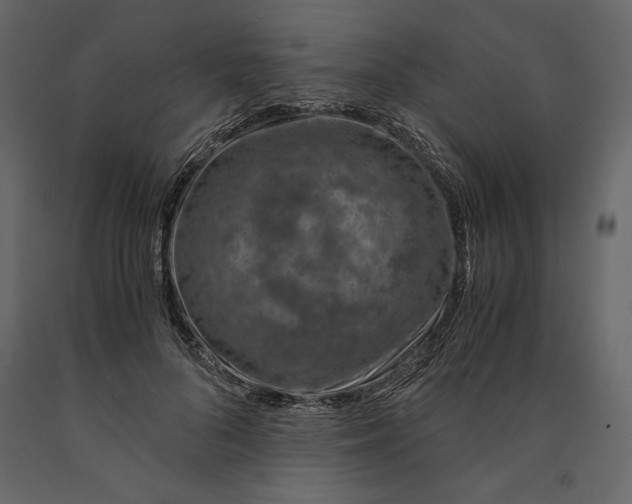 X0000090900696200708270944