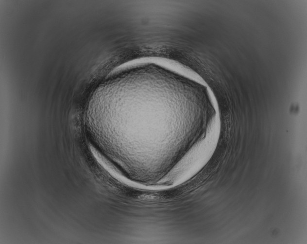 X0000090900699200708270944