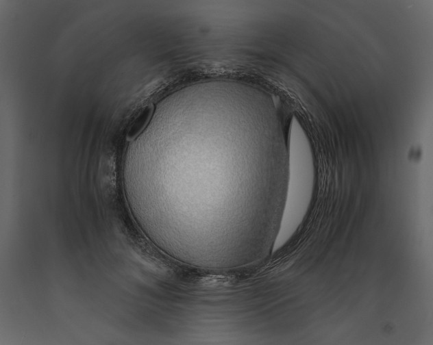 X0000090900700200708270944