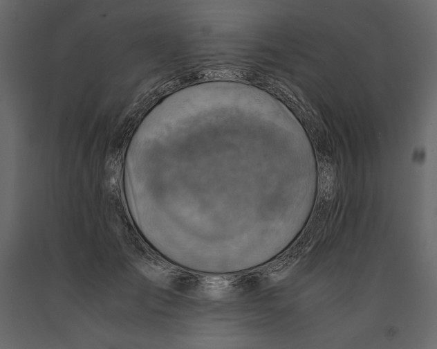 X0000090900701200708270944