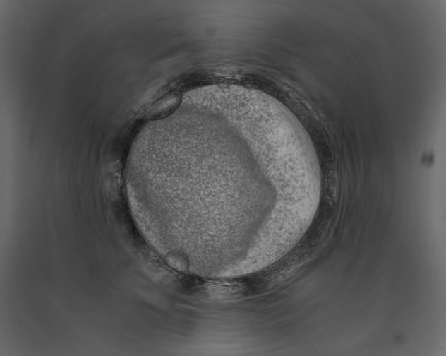 X0000090900707200708270944