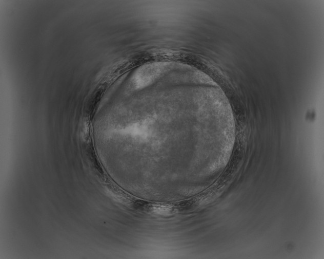 X0000090900709200708270944