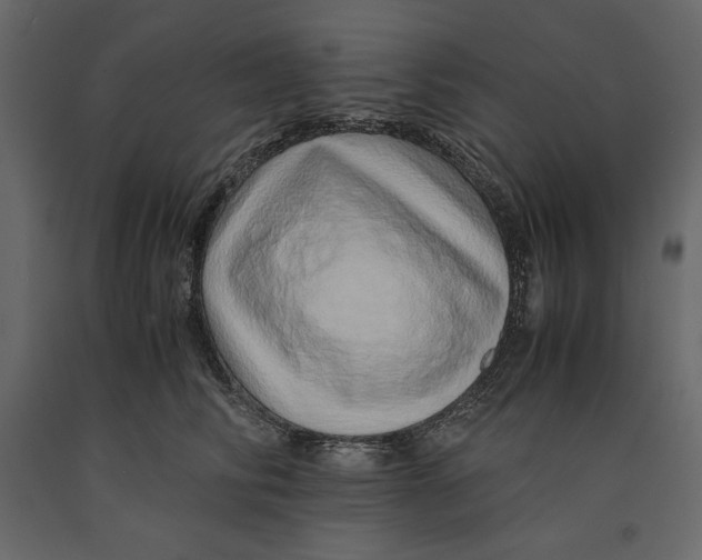 X0000090900710200708270944
