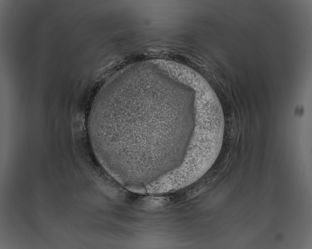 X0000090900711200708270944