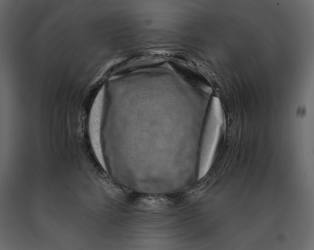 X0000090900712200708270944
