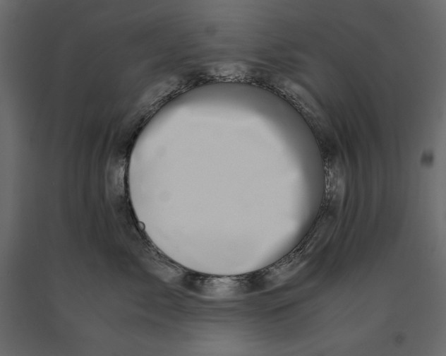 X0000090900717200708270944
