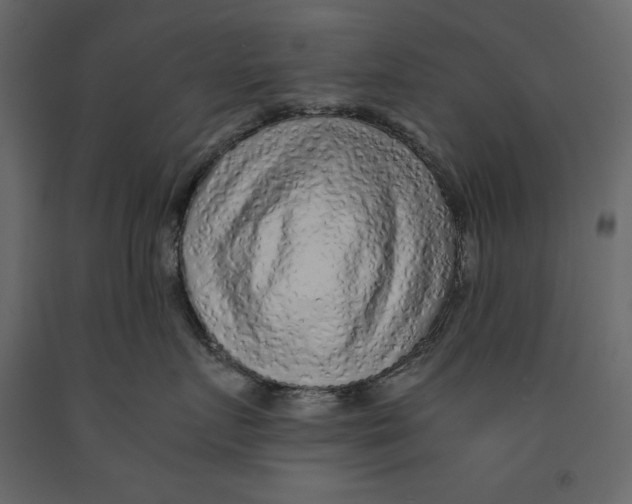 X0000090900719200708270944