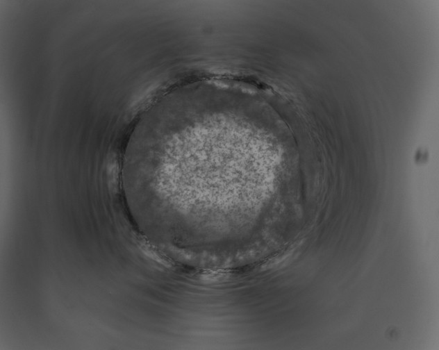 X0000090900720200708270944