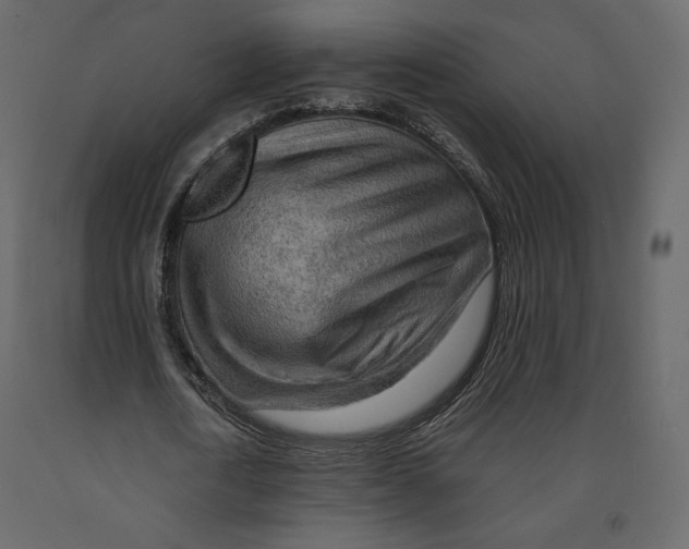 X0000090900722200708270943