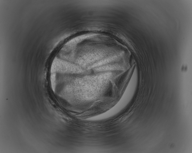 X0000090900723200708270943