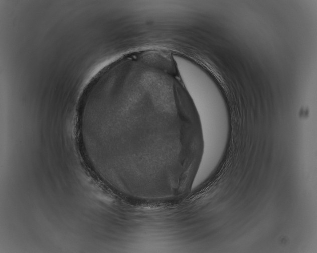 X0000090900724200708270943