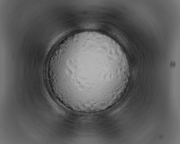 X0000090900725200708270943
