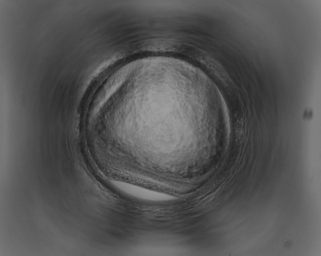 X0000090900727200708270943
