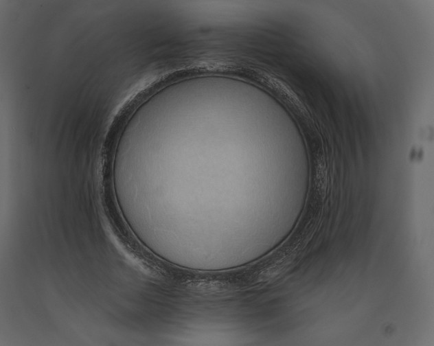 X0000090900730200708270943