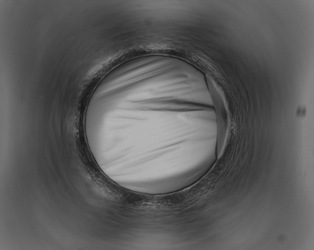 X0000090900732200708270943