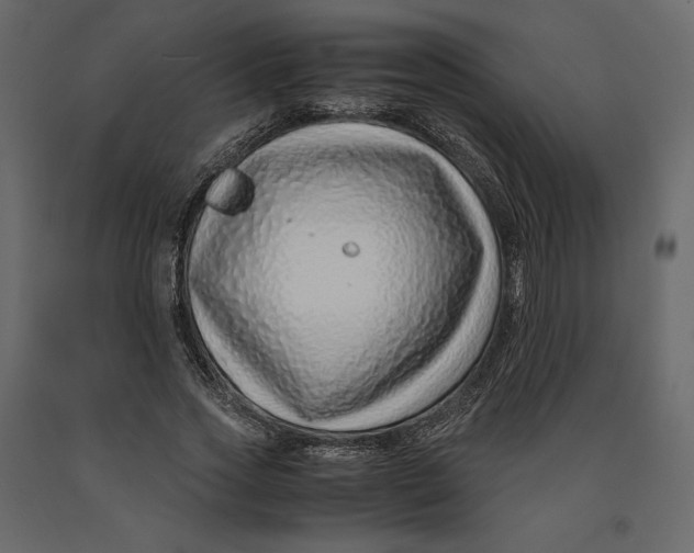X0000090900733200708270943