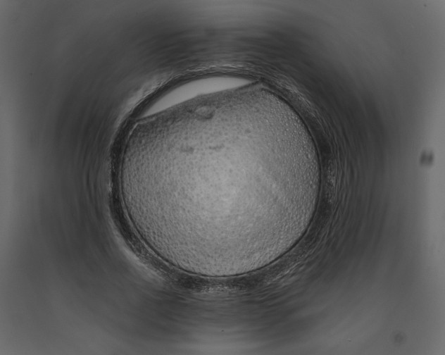 X0000090900734200708270943
