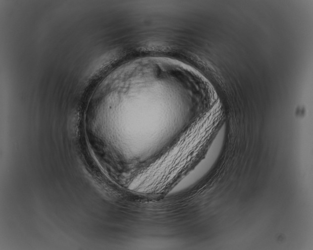 X0000090900735200708270943