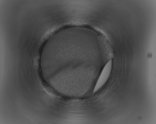 X0000090900736200708270943