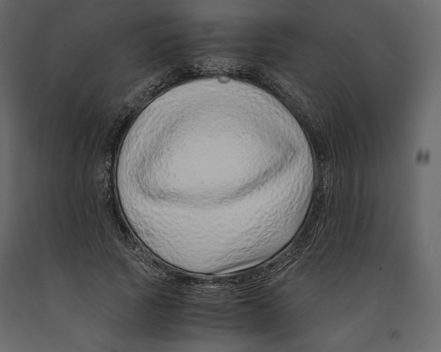 X0000090900737200708270943