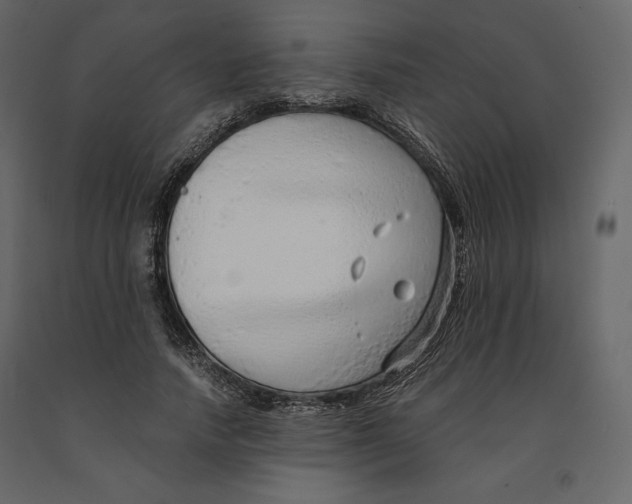 X0000090900738200708270943