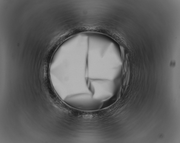 X0000090900740200708270943