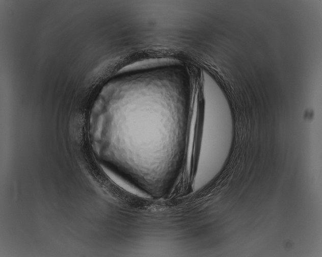 X0000090900742200708270943