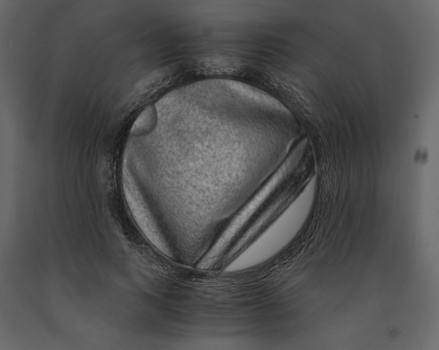 X0000090900743200708270943
