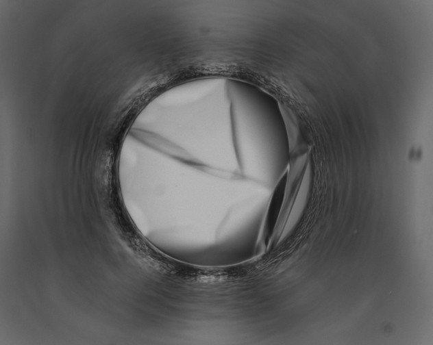 X0000090900744200708270943