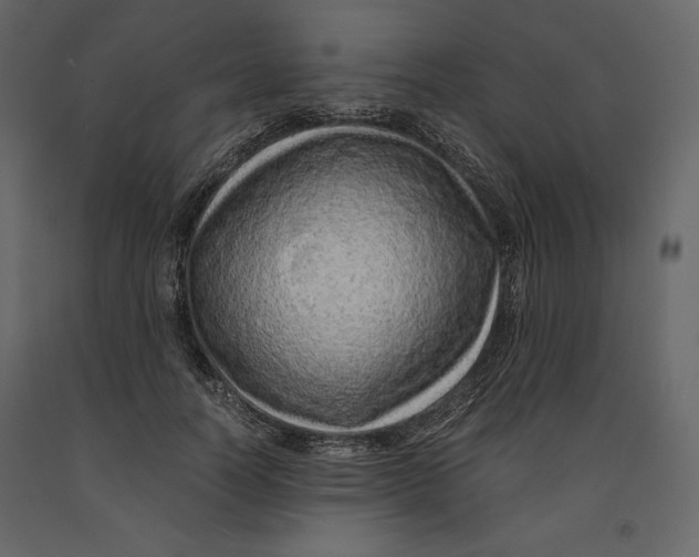 X0000090900746200708270943