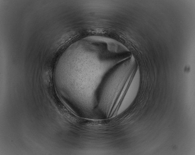 X0000090900747200708270943
