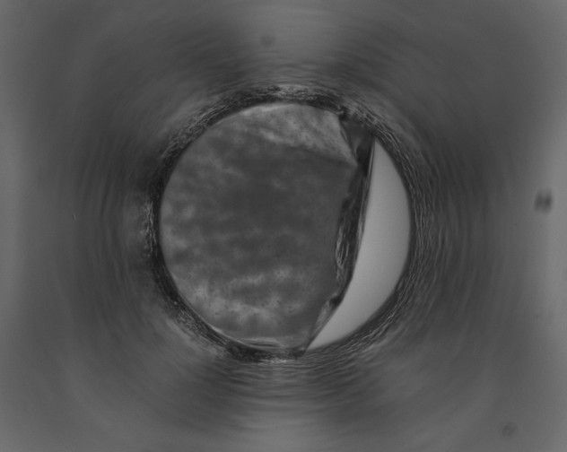 X0000090900748200708270943