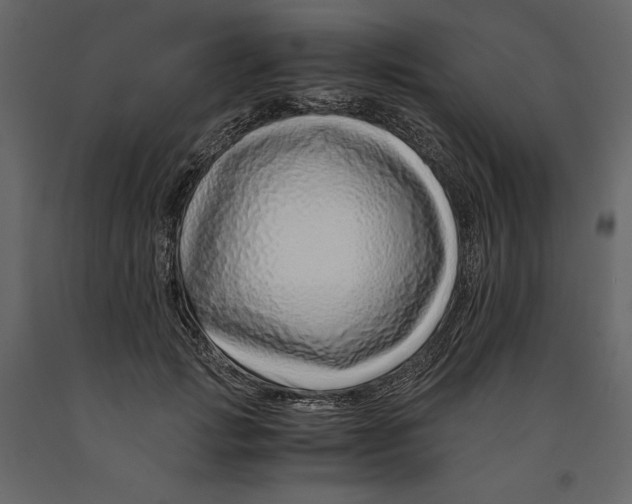 X0000090900749200708270943