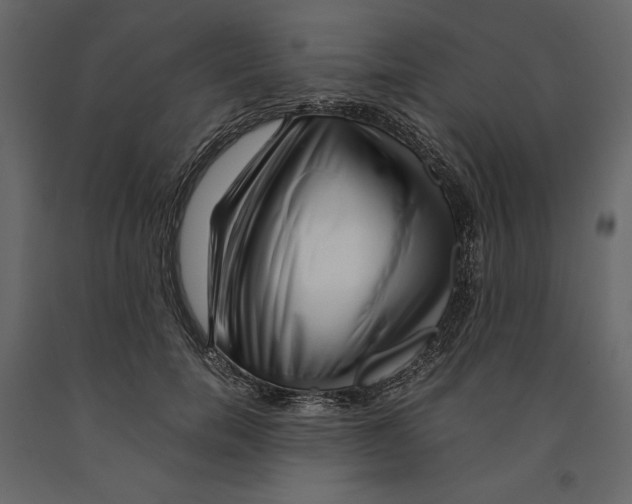 X0000090900750200708270943