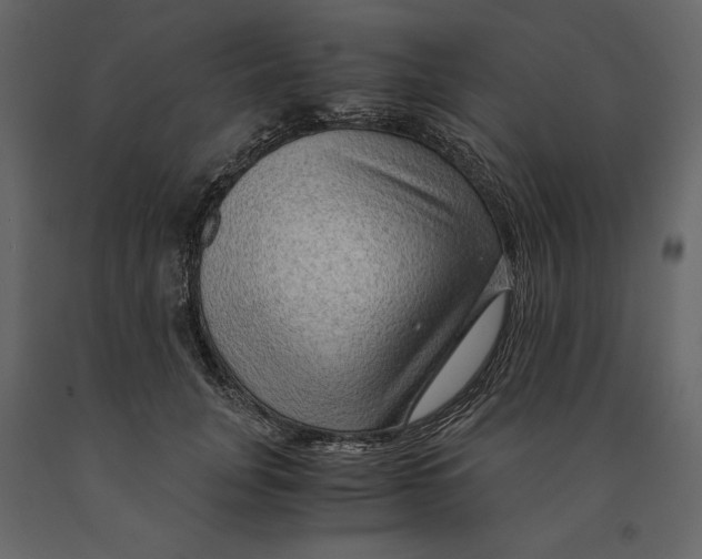 X0000090900751200708270943