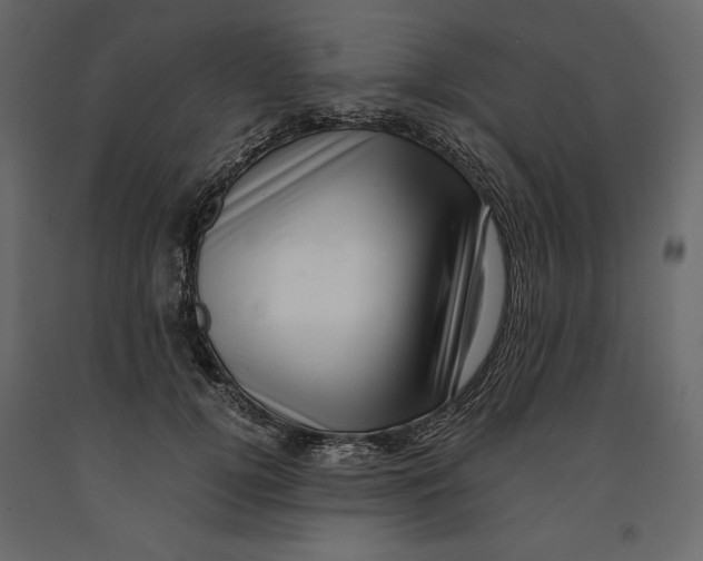 X0000090900752200708270943