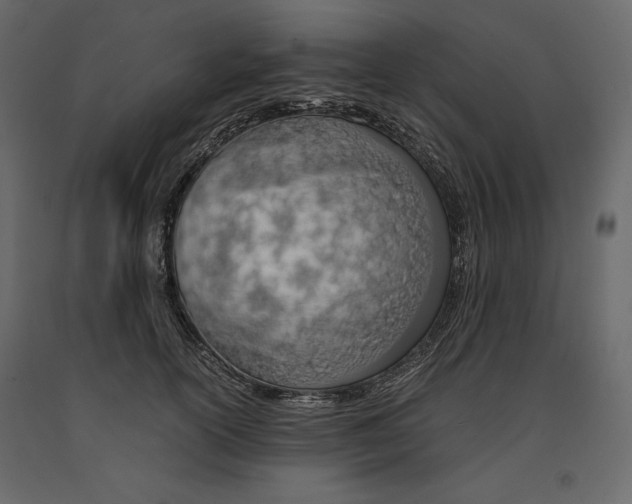 X0000090900754200708270944