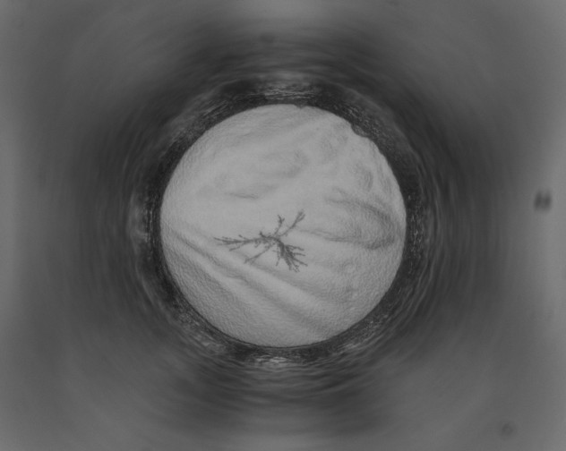 X0000090900755200708270944